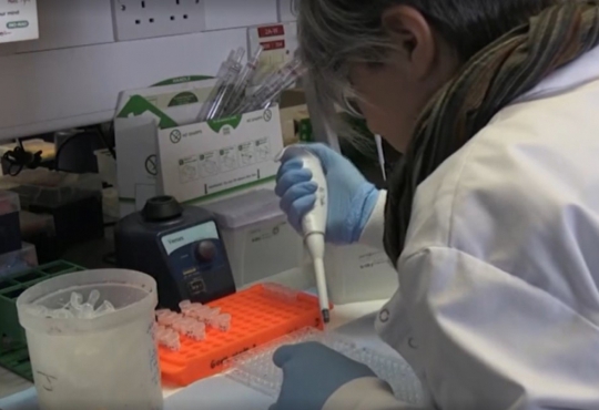 Fiocruz tem acordo com a AstraZeneca, farmacêutica que desenvolve a vacina de Oxford