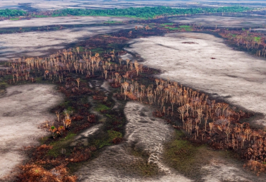 De acordo com o documento, a Amazônia tem o risco de se transformar de floresta tropical em uma savana com o aumento da devastação