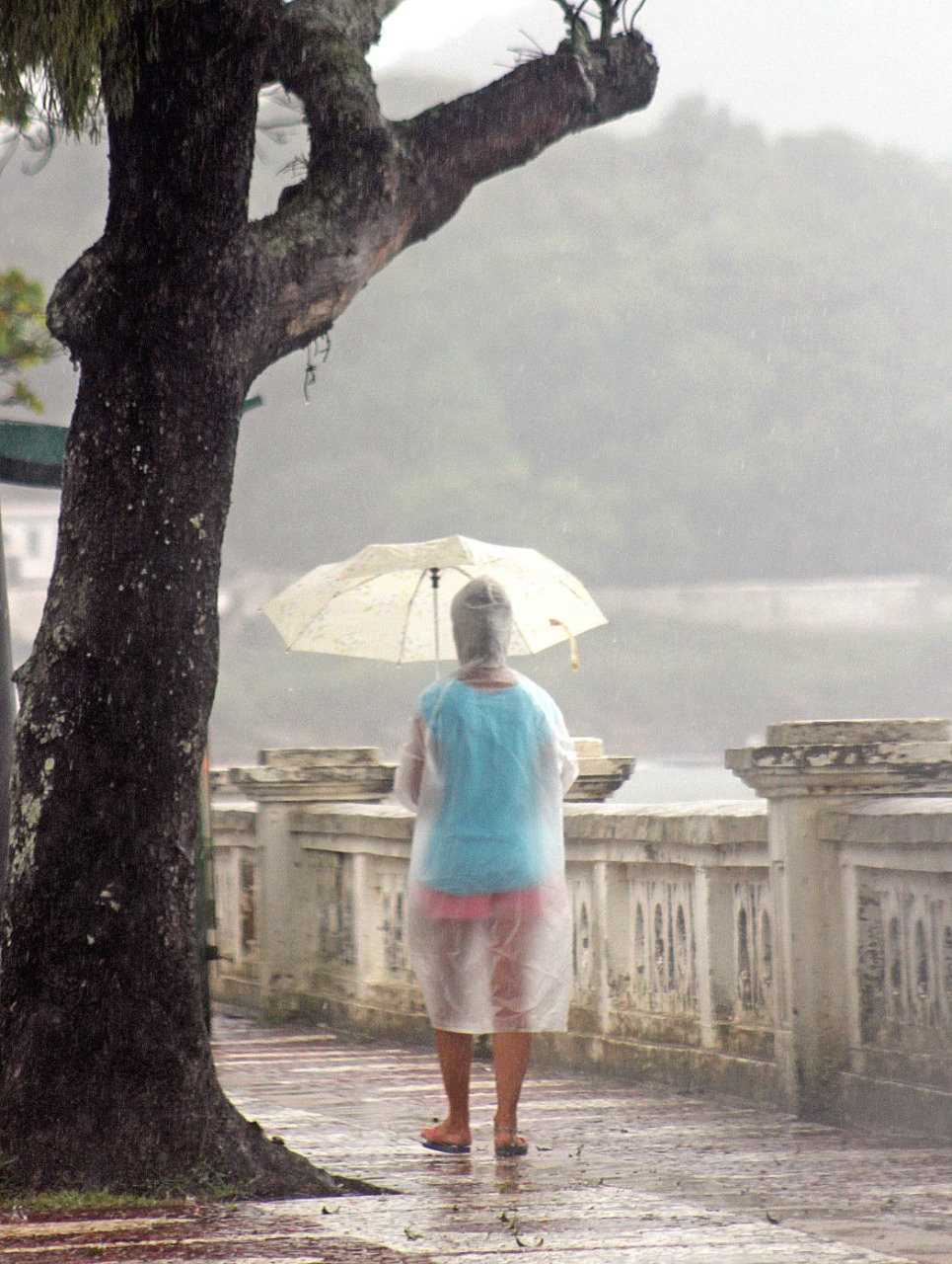 O último dia do ano, quinta-feira (31), será o mais abafado e quente da semana, com temperatura máxima acima dos 30°C na Cidade e região, e possibilidade de pancadas de chuva no fim do dia e à noite