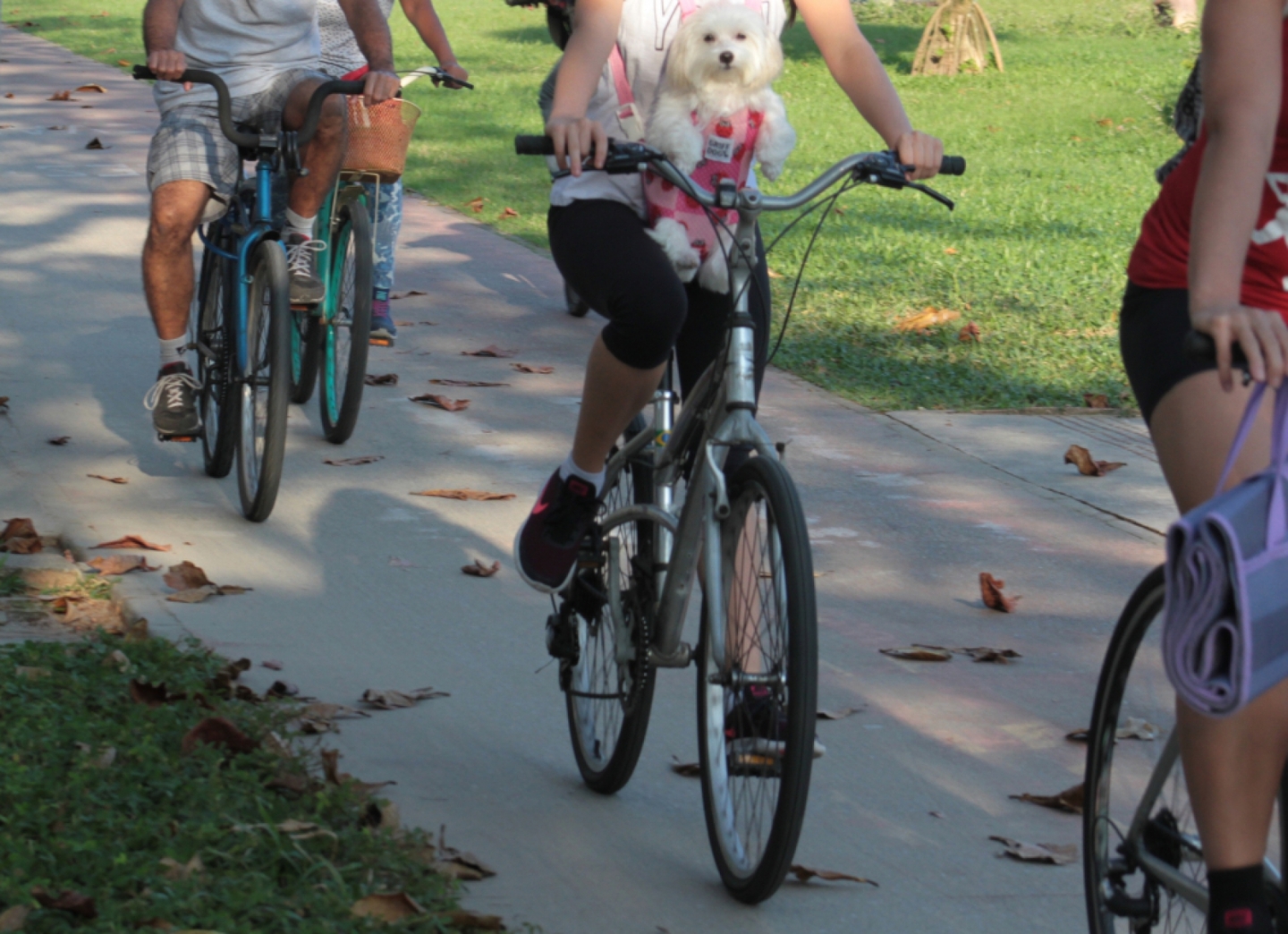 Passeio conta com patrocínio da Sabesp, ArtGráphica e Sicredi, além do apoio da LSC, CBMTB e ABCSP