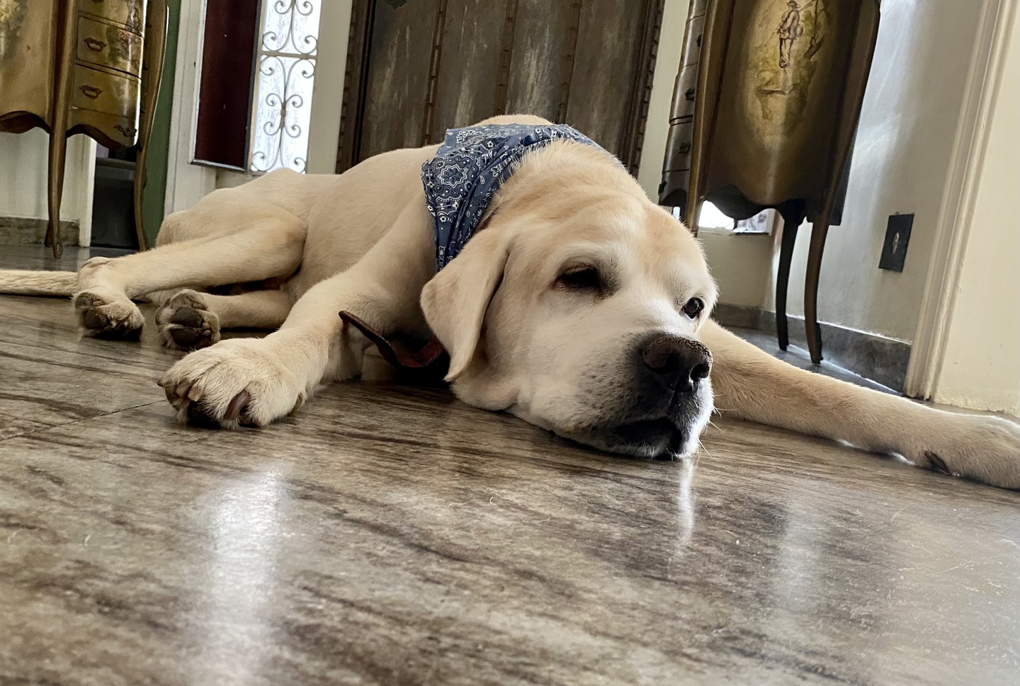 Matéria proíbe a comercialização de quaisquer produtos recebidos em doação pelo programa