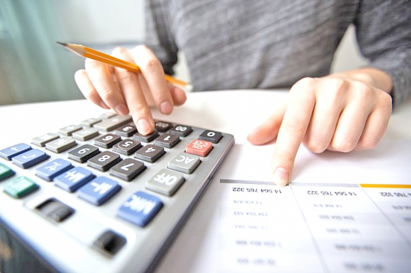 As instituições privadas de ensino disponibilizam o demonstrativo de despesas educacionais do ano