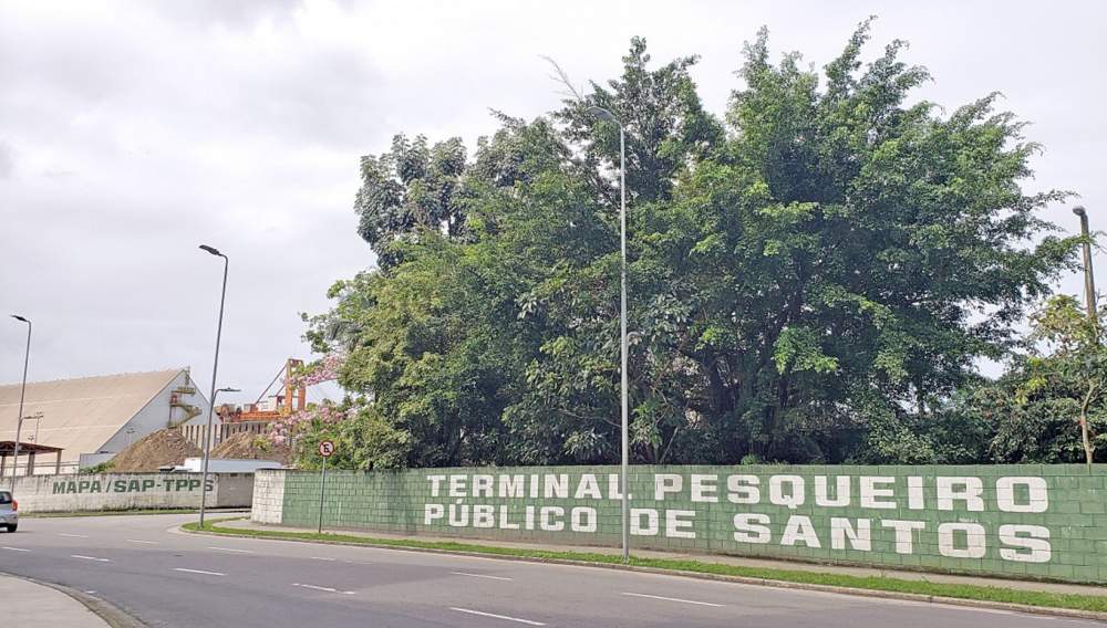 Terminal tinha 26 mil metros quadrados, mas restam apenas seis mil; Associação de Apoio ao Terminal pede compensação à pesca