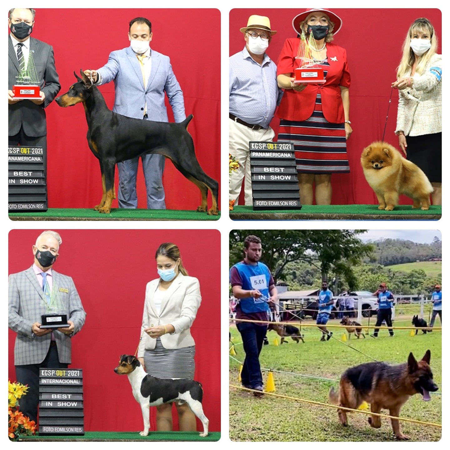 Exposição de cães movimentou o Hotel Hípica Atibaia neste fim de semana