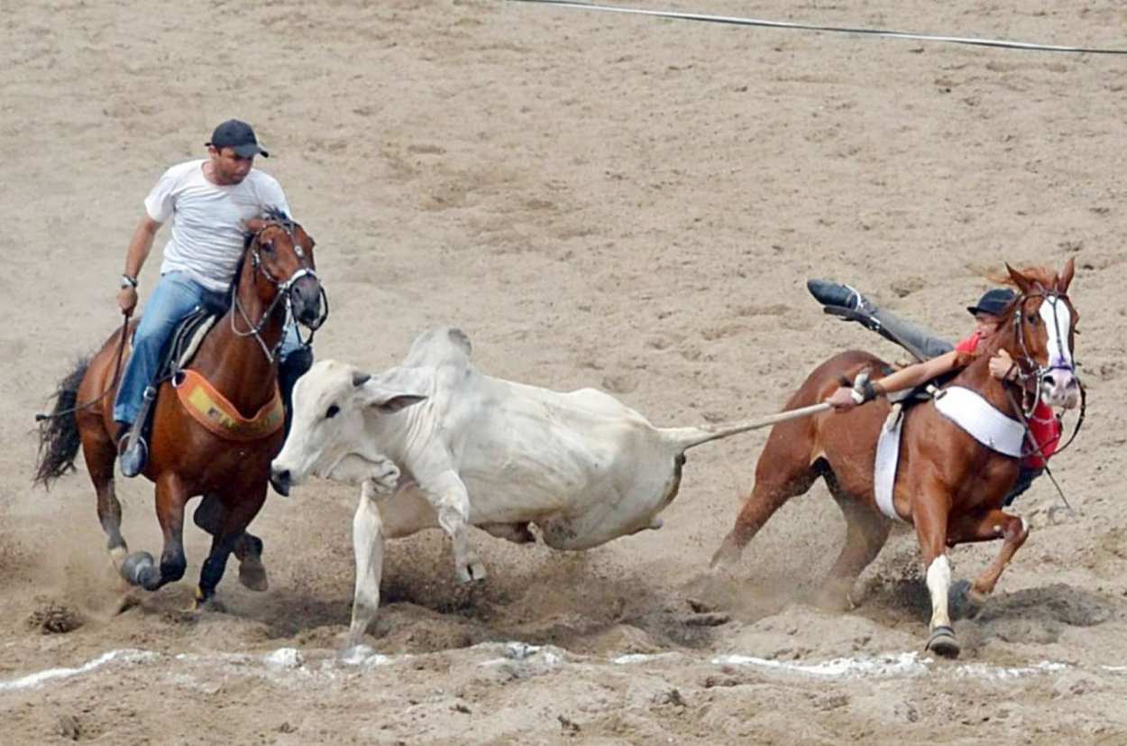 A proposta de autoria do vereador Fernando Martins dos Santos, o Peitola (também tucano), havia sido aprovada pela Câmara, em votação simbólica e sem registro nominal dos votos