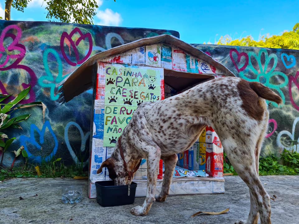 Estudantes de escola do Morro São Bento reciclaram mais de trezentas caixinhas de leite para confeccionar casinhas para abrigar animais de rua