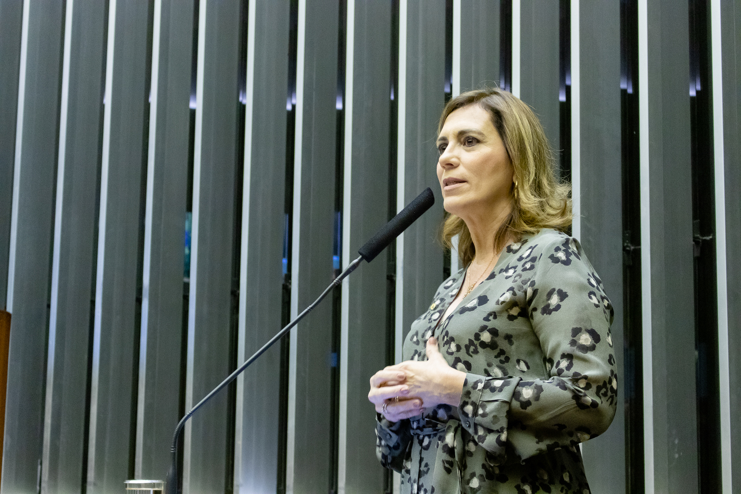 O projeto de lei aprovado em primeira discussão é da deputada federal Rosana Valle (PSB)