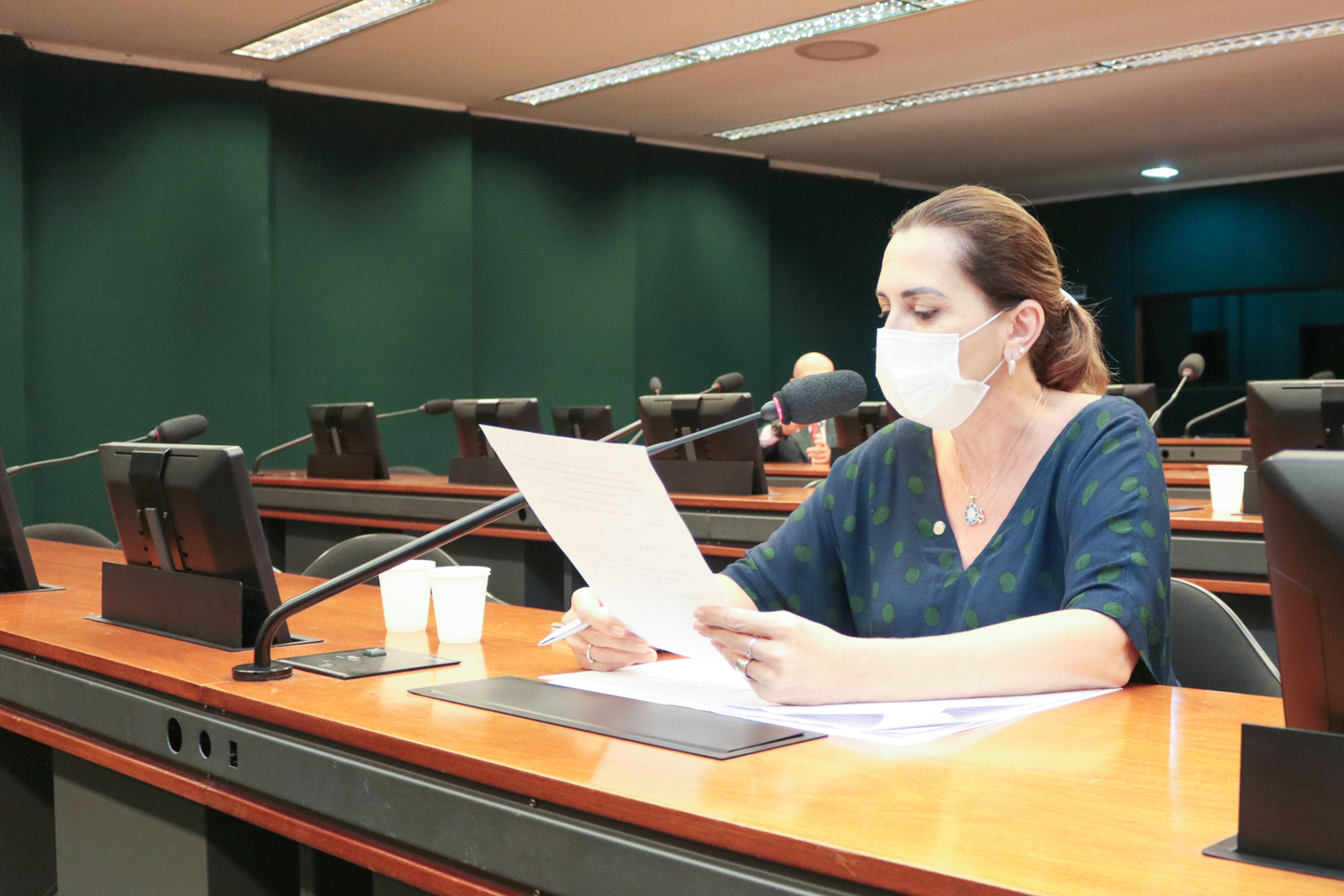 Deputada Federal Rosana Valle (PSB) é a relatora do Projeto de Lei que oferece tratamento gratuito para endometriose