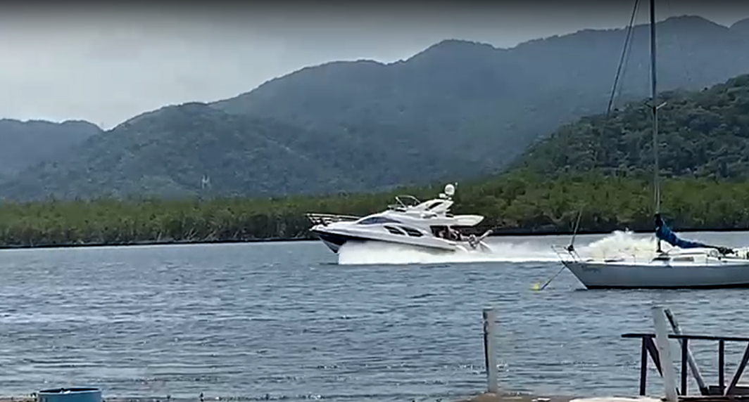 Embarcações velozes estão acabando com berçário de espécies da região 