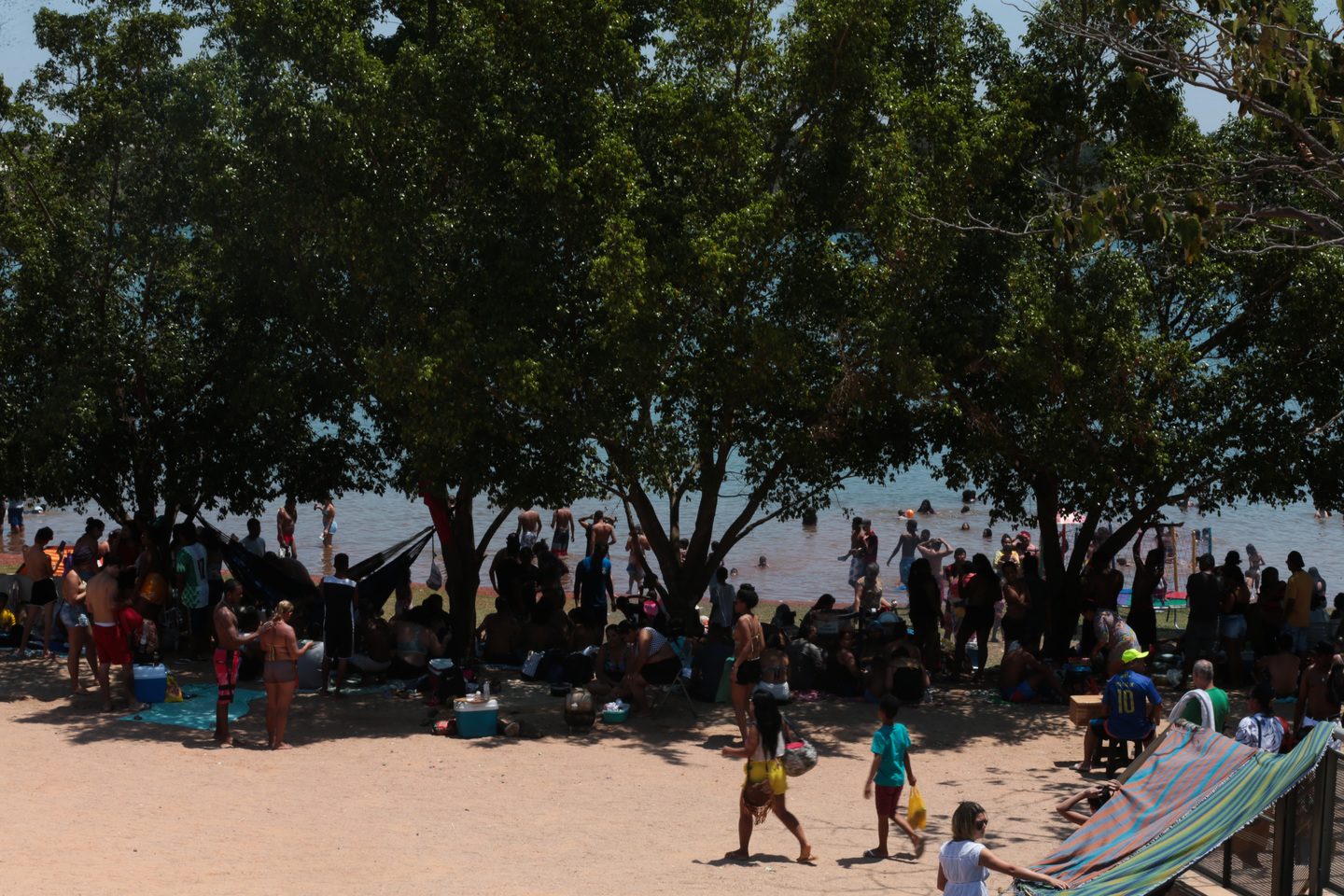 Ataques de piranhas matam 4 e ferem mais de 20 em rio