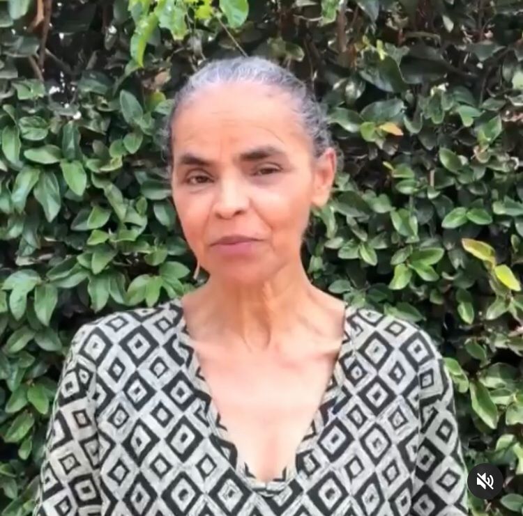 Ela afirmou que o país precisará buscar recursos de fora para retomar ações de preservação do meio ambiente