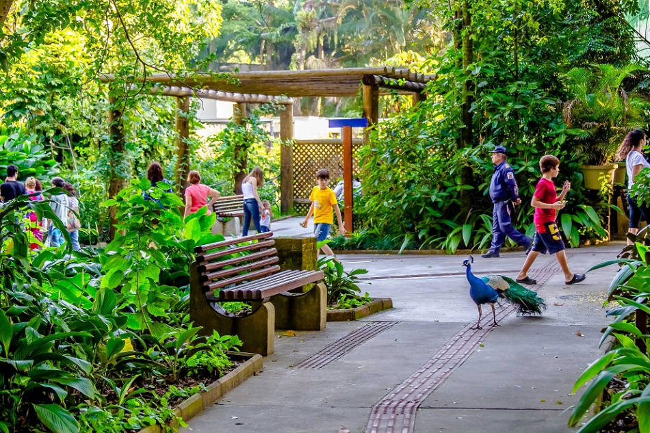 Também será possível realizar a inscrição para as visitas noturnas