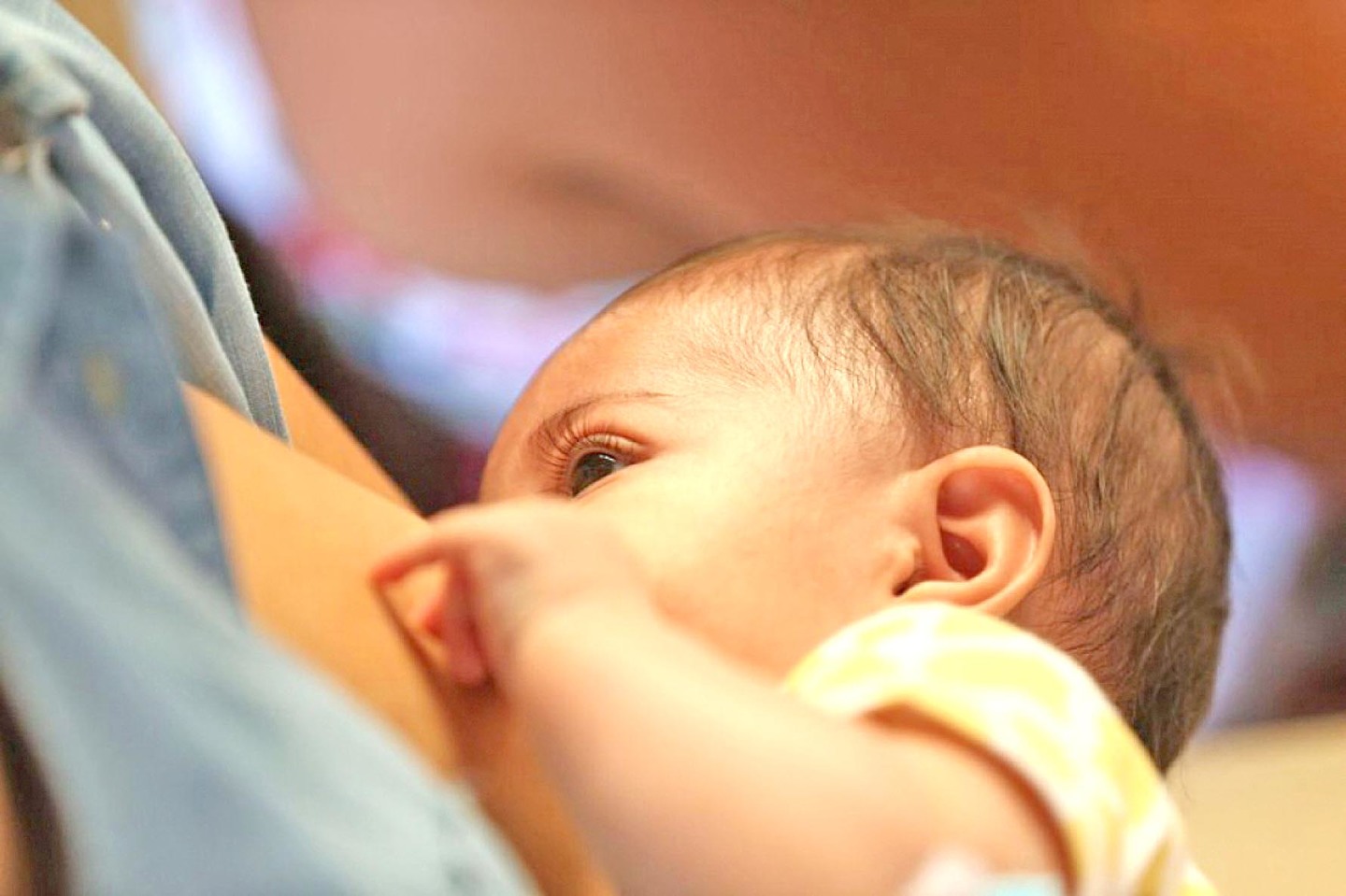 Segundo o Astrolink, as características da maternidade não estão ligadas ao Signo Solar e sim à Casa 5