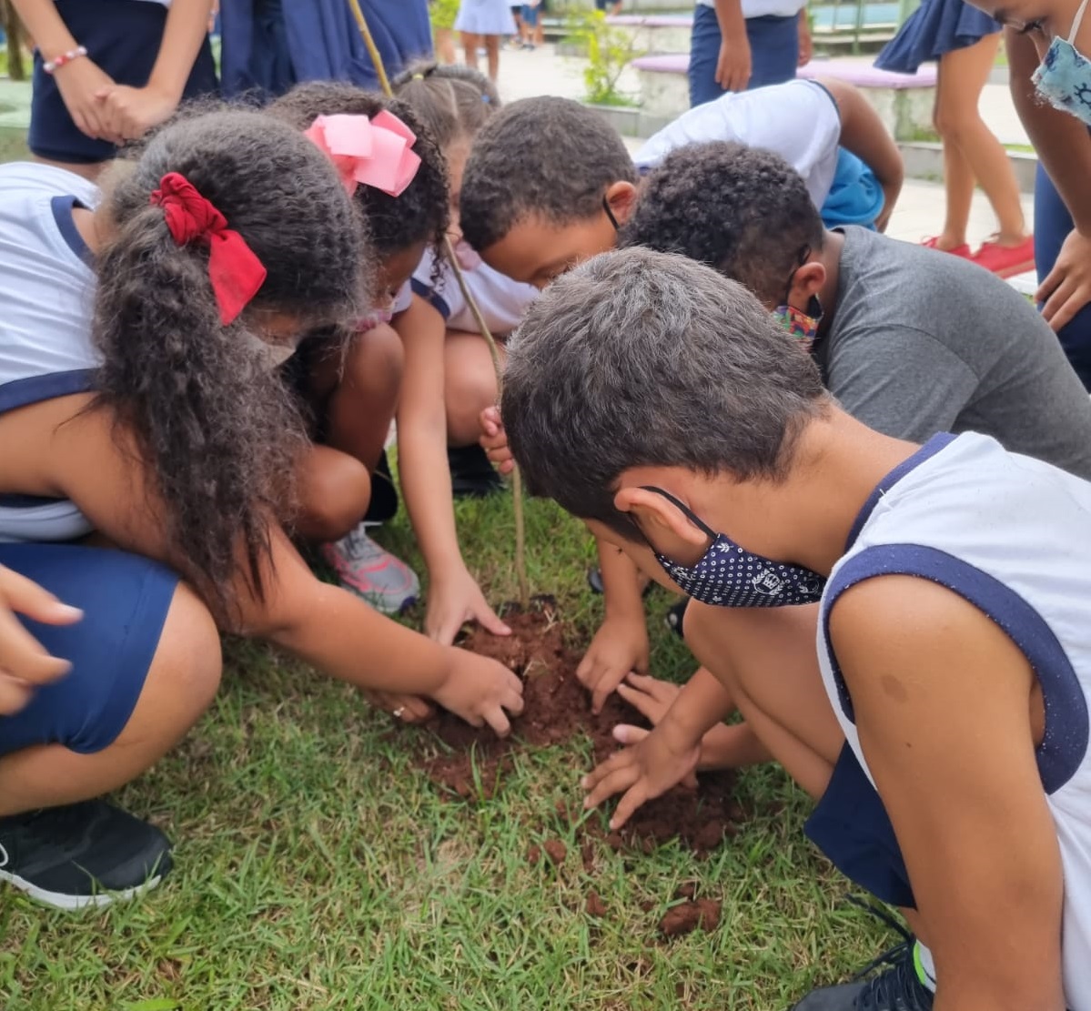 Plantios de mudas nativas nas UMEs Estado de São Paulo, no Jardim Costa e Silva