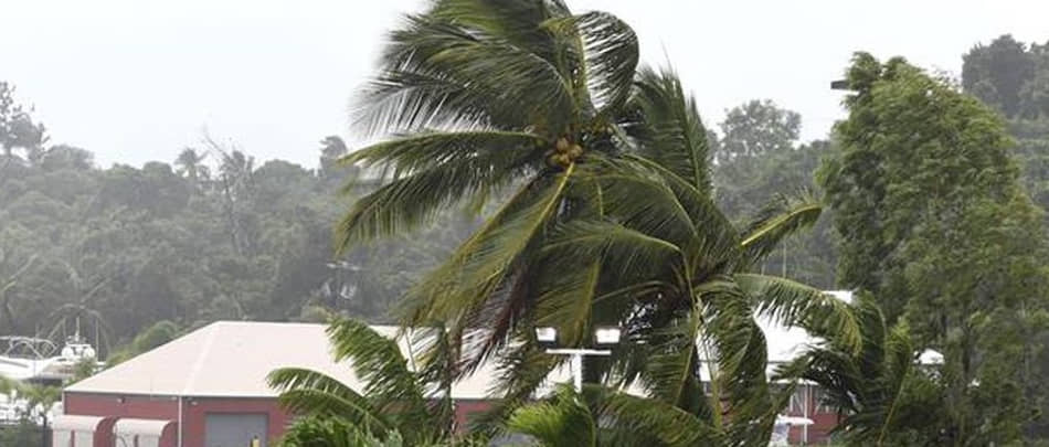 *Imagem meramente ilustrativa