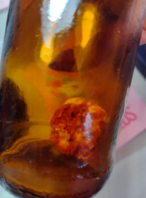 Homem diz ter encontrado 'dedo' dentro de garrafa de cerveja em Praia Grande