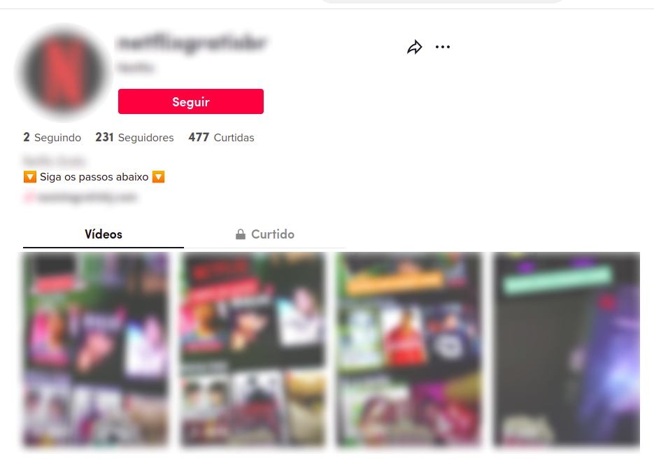 Captura de tela de rede social direcionando para um site falso