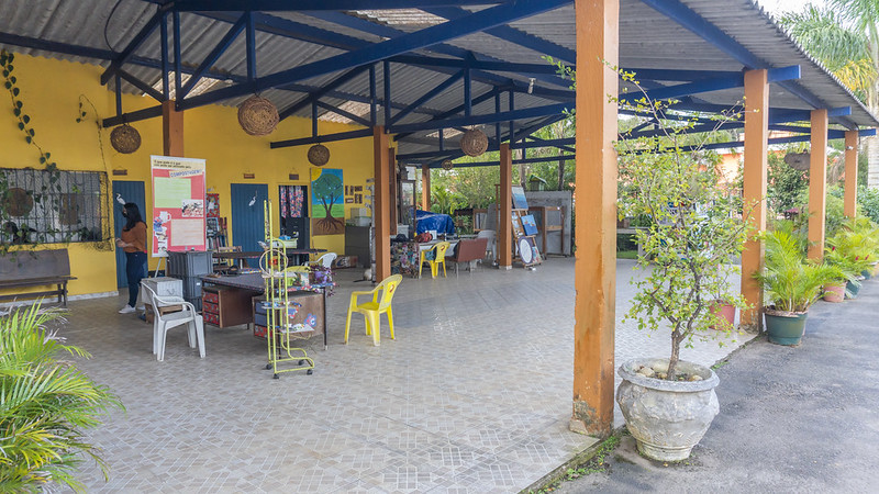 Viveiro de Plantas e Ideias 'Seo' Léo fica na Rua Manoel Gajo, 1080, Centro