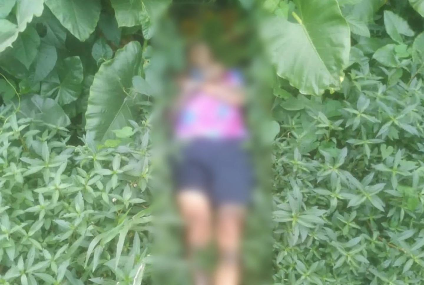 Em julho, um corpo foi encontrado em manguezal no Guarujá