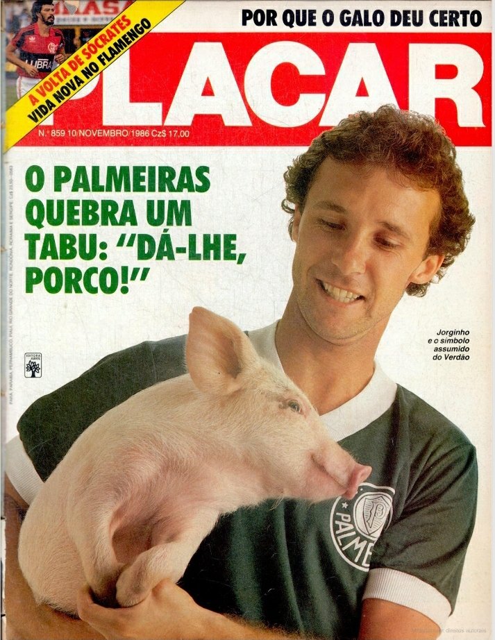 Veja a história por trás dos apelidos 'Porco', 'Palestra', as "Academias" e mais alcunhas que acompanham a história da Sociedade Esportiva Palmeiras
