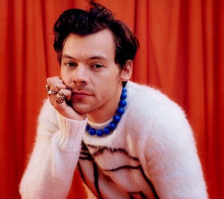 O cantor Harry Styles anunciou um show extra em 13 de dezembro, no Allianz Parque (zona oeste de São Paulo).