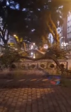 Vendaval destelha imóveis, derruba árvores e cria tempestade de areia na Baixada Santista; vídeo