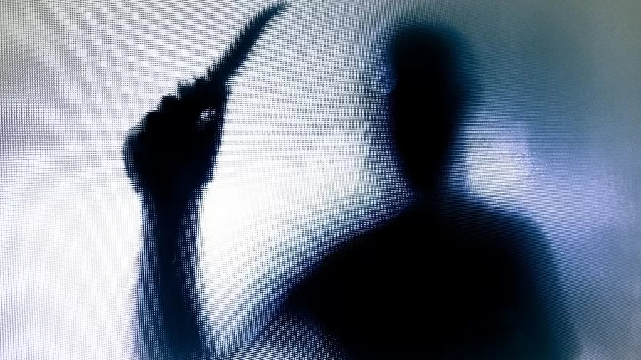 Uma mulher de 39 anos matou o marido a facadas na residência da família, em Pirassununga (SP), e alegou estar protegendo o filho