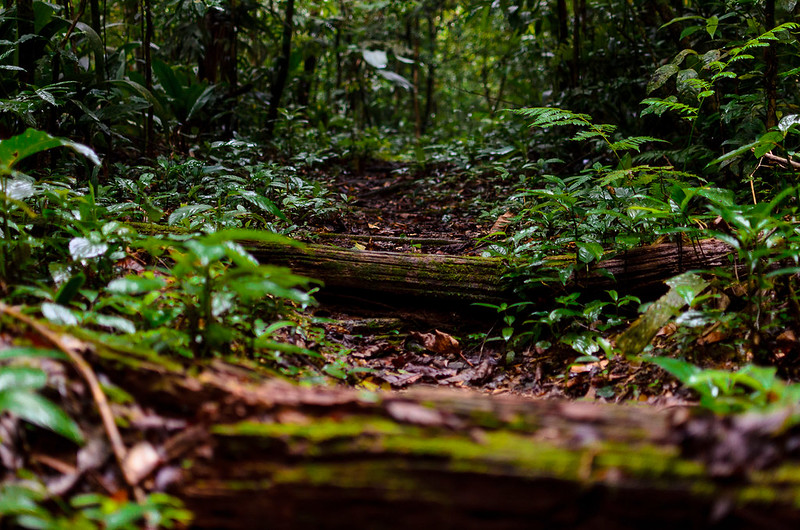 Para quem deseja dar uma pausa na rotina, nada melhor que uma trilha