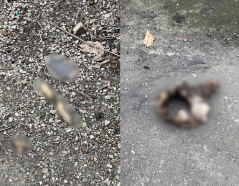 A vítima, segundo eles, seria um homem que cuidava do espaço