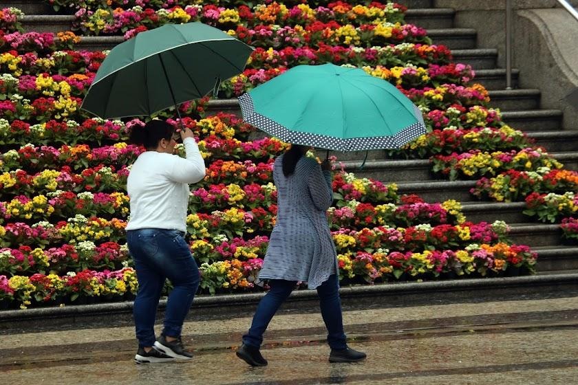 Embora algumas áreas possam sofrer com alagamentos nesses dias, não há previsão de impactos por ressaca ou maré elevada de forma anormal