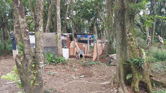 Os flagrantes são fruto da intensificação das ações neste local, alvo constante de investidas de infratores