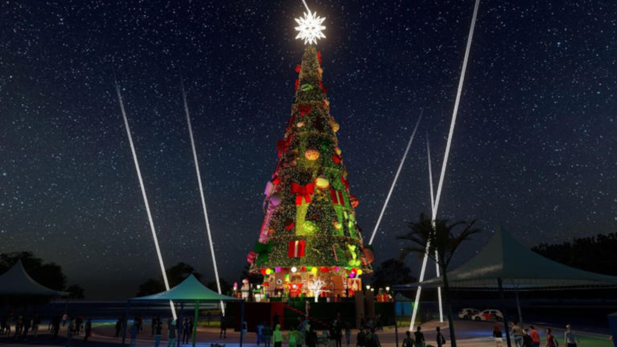 A árvore de Natal ficará no parque vizinho ao local onde estará montada da roda-gigante de SP