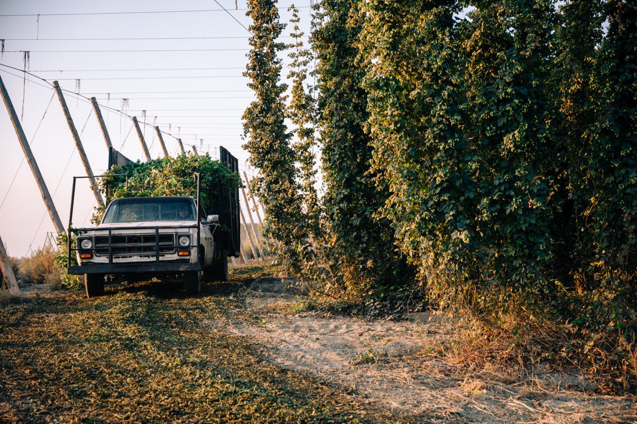 Para a escolha das ganhadoras, a HGA convidou 10 profissionais brasileiros - todos experts no segmento - para compor o júri