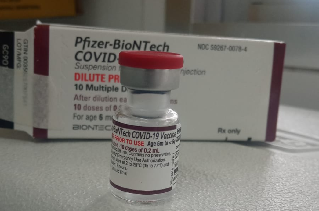 Durante o pronunciamento, a ministra lembrou que o Brasil perdeu 700 mil vidas durante o surto sanitário.