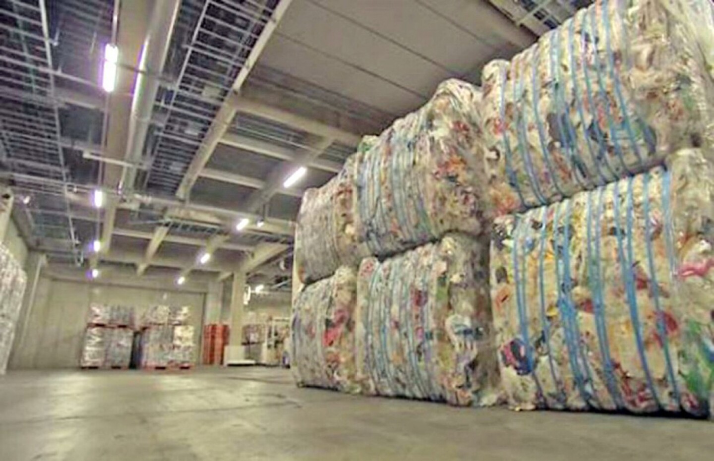 Escola santista colabora para um ambiente mais saudável, chegando a reciclar 97% do seu lixo