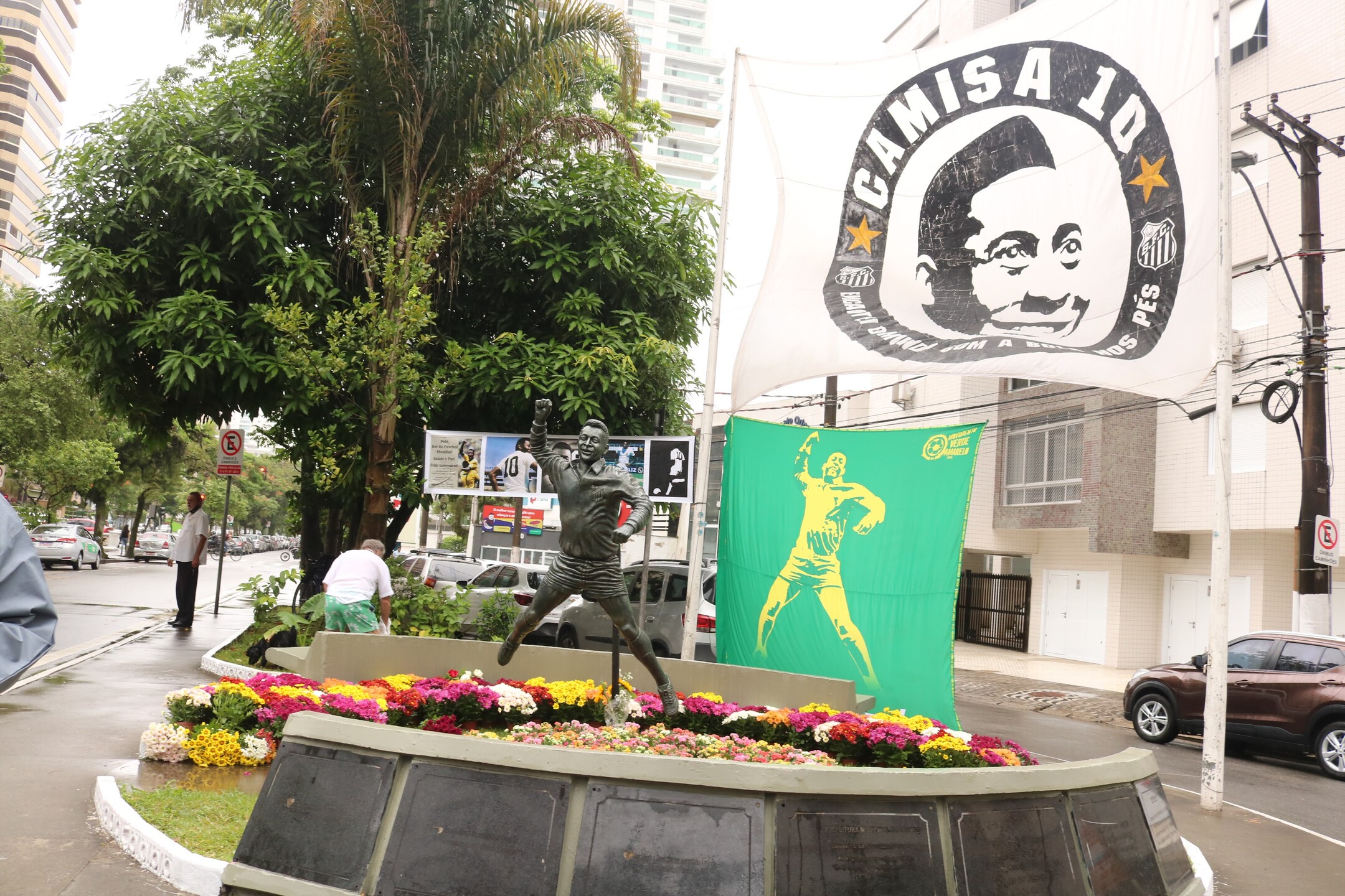 Muda de pau-brasil homenageia Pelé junto a reduto de torcedores em Santos