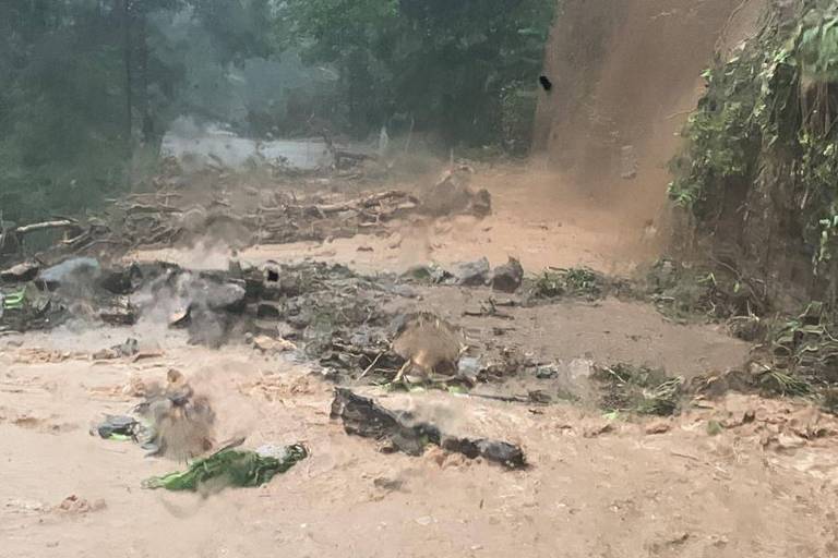 O acidente ocorreu às 2h15, na rua Benedito Alves da Silva, no bairro Pereque-Açu