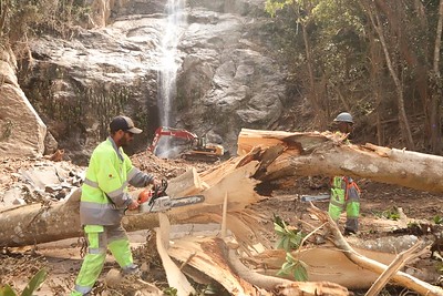 Operários trabalham na limpeza da Rio-Santos após desobstrução total da via