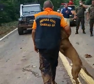 Cachorro é salvo em São Sebastião