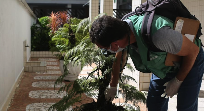 Nove equipes percorrem o bairro