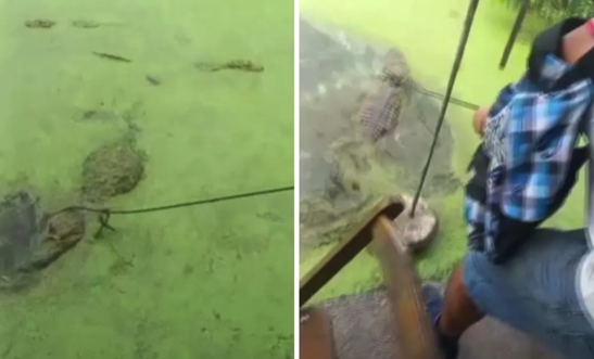 Testemunha diz que situações como esta são comuns na região