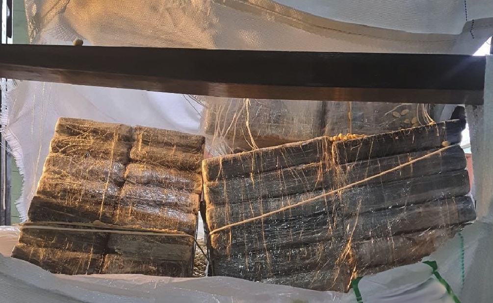 A seleção da carga para inspeção física foi fruto da atividade de gestão de riscos