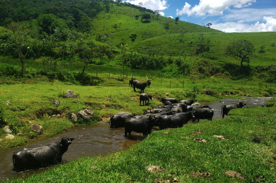 Laticínio aposta em legado social no interior paulista