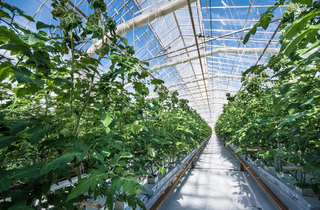 Em Cubatão, são oito vagas em Manutenção, uma em Recursos Humanos e outra em Produção