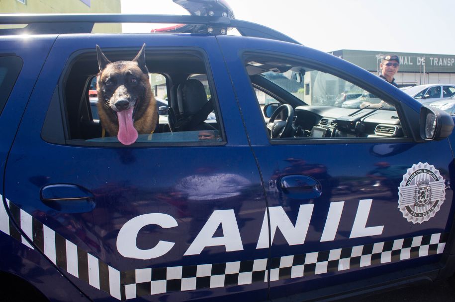 Tyson ajudou na prisão de um procurado pela Justiça em 2019 e também atuou no arrastão de roubo de celular na praia