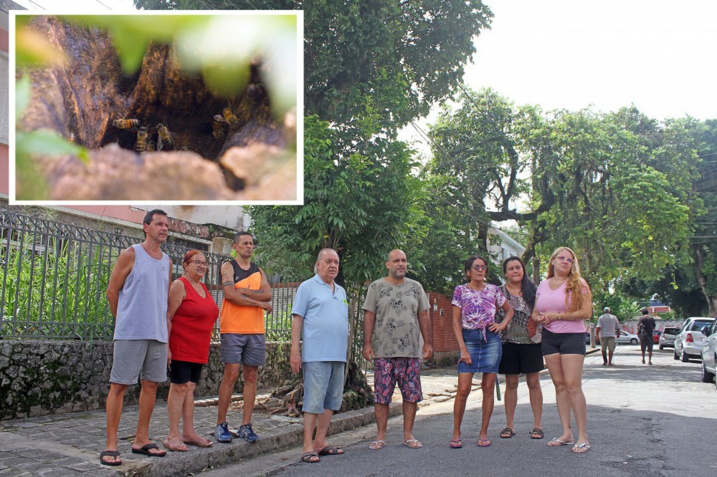 Abelhas e assaltantes são a maior dor de cabeça para moradores de Santos