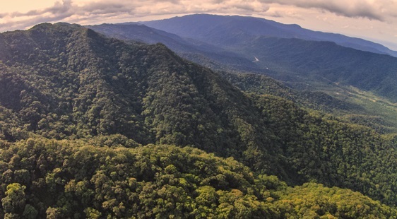 Mata Atlântica na zona sul da cidade de São Paulo