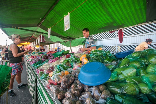 Para realizar a solicitação é preciso preencher o requerimento e apresentar os documentos exigidos