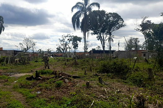 Os autores foram conduzidos à Central de Polícia Judiciária