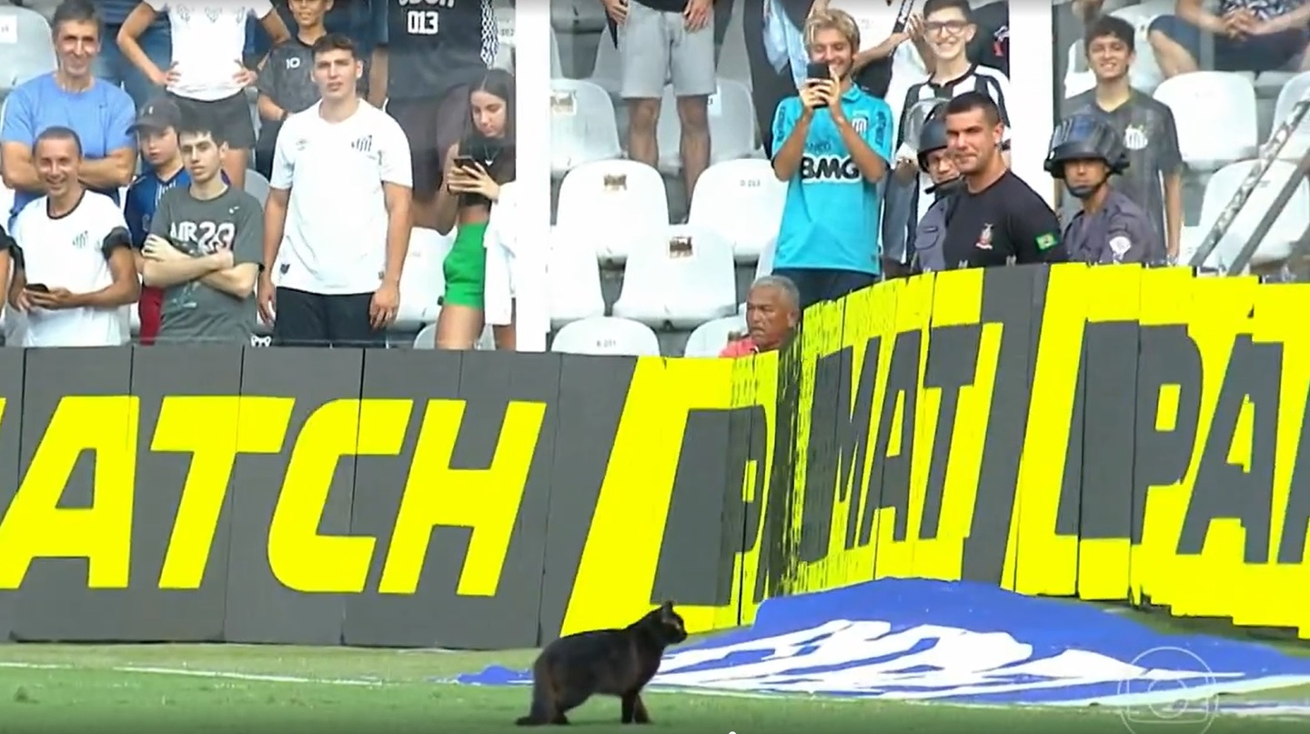 Gato chamou a atenção da torcida na Vila Belmiro